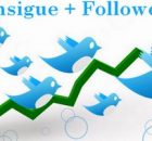 Cómo conseguir followers en twitter